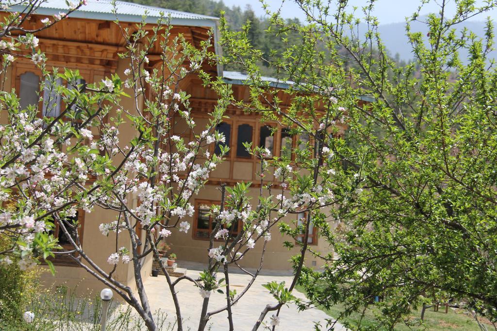 Rema Resort 파로 객실 사진