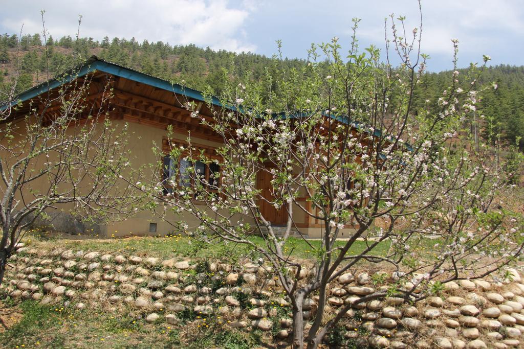 Rema Resort 파로 객실 사진